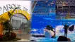 ¿Es VERDADERO o FALSO el video VIRAL del "show de orcas en el Parque de las Leyendas"? Esto respondió el zoológico peruano