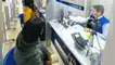 DNI electrónico gratis para este 01 de junio: ¿Dónde y qué servicios están disponibles?