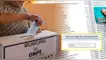 ¿Cambio tu LOCAL DE VOTACIÓN? Reniec habilita ENLACE para comprobar tu dirección en el padrón electoral. ¿Cambio tu LOCAL DE VOTACIÓN? Reniec habilita ENLACE para comprobar tu dirección en el padrón electoral.