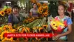 ¡HASTA S/70! Flores amarillas suben de precio en Lima. primavera, cercado de lima