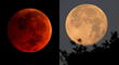 Eclipse total de Luna y superluna de flores: cuándo y a qué hora se verá desde México