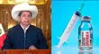 Pedro Castillo: "Se han coordinado la instalación de una planta de vacuna Sputnik V en el país"