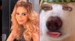 Gisela impacta con filtro de cara de perro para reflexionar: "Que Dios los bendiga" [VIDEO]