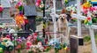 Bobby, el perrito que vive junto a la tumba de su amo y consuela a deudos en el cementerio