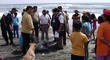 Arequipa: amigos mueren ahogados en la playa