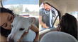 Mujer deja a su novio tirado en la carretera tras enterarse que abandonó a su perro por no ser de raza [VIDEO]