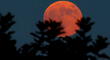 Eclipse lunar más largo del sigo XXI: ¿Cómo, cuándo y dónde será visto?