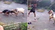 ¡Épico! Joven se enfrenta a una cabra e intensa batalla se hace viral [VIDEO]