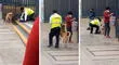 "Más personas así, por favor": captan a guardia alimentando a perrito callejero y enternece redes