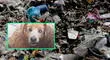 Argentina: torturaron a un perrito callejero hasta la muerte y lo dejan en un basurero
