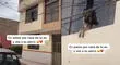 Pasó por la casa de su ex, su perro la ve e insólita reacción al notarla se hace viral [VIDEO]