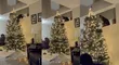 Descubre a su gato tratando de derrumbar su árbol navideño y reacción de su mascota es viral