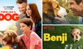 5 películas para ver en Netflix si te gustó ‘Misterio’, el lobo que fue confundido por un perro