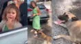 Mujer arrastra a un perro amarrado en su camioneta: "No lo puedo subir, tengo una cita"