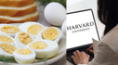 ¿Cuántos huevos puedo comer al día? Harvard aclara la duda sobre si hay posibles riesgos la salud