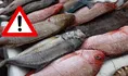 ¿Sabías que estás consumiendo mercurio sin darte cuenta?
