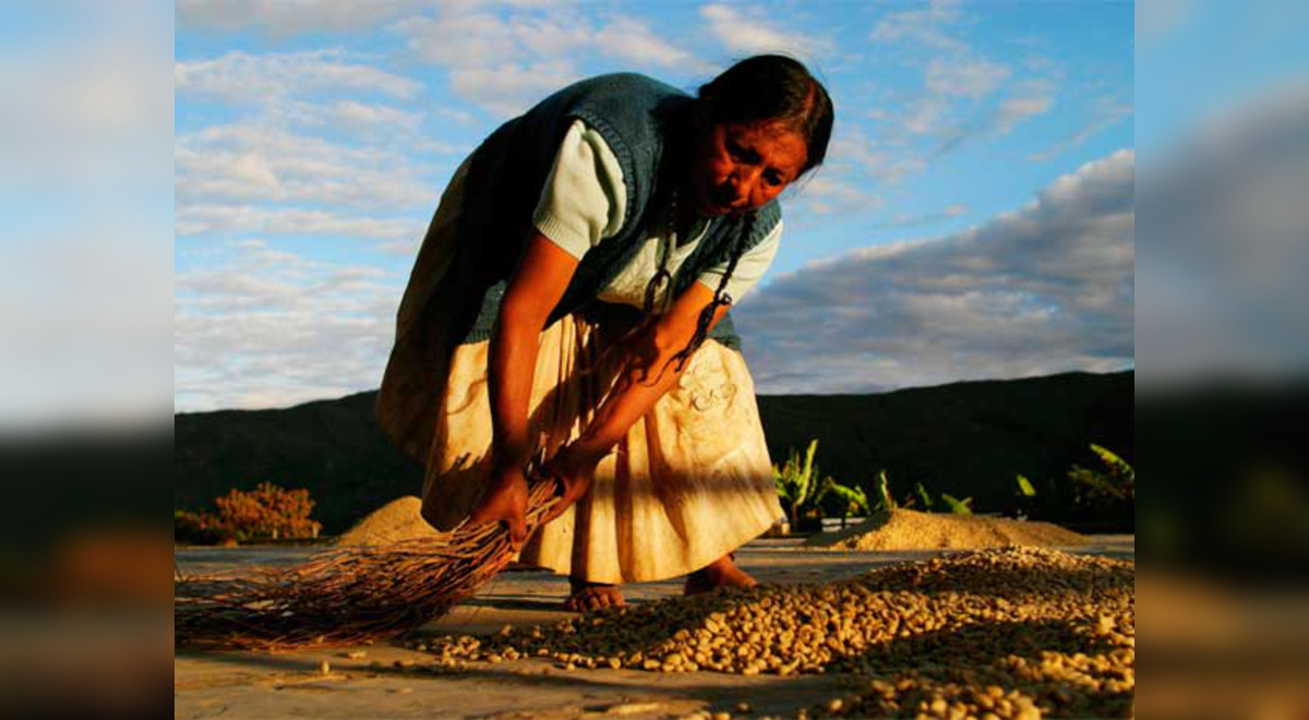 Por Que Se Celebra El Dia Del Campesino Cada 24 De Junio El Popular