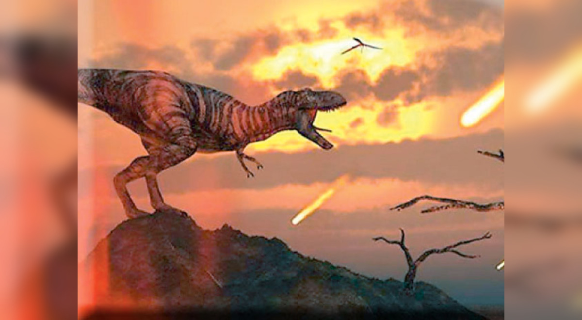 Los dinosaurios: Extinción y meteorito | El Popular
