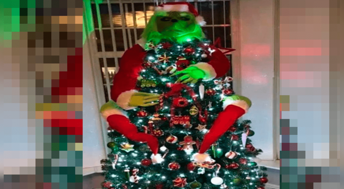 Facebook | “Grinchmas” el árbol de Navidad que causa sensación por la  figura del duende verde | Navidad | duende verde | video | El Popular