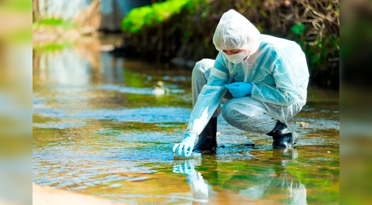 Un estudio demostró presencia del coronavirus en Brasil desde noviembre de 2019 Un estudio demostró presencia del coronavirus en Brasil desde noviembre de 2019