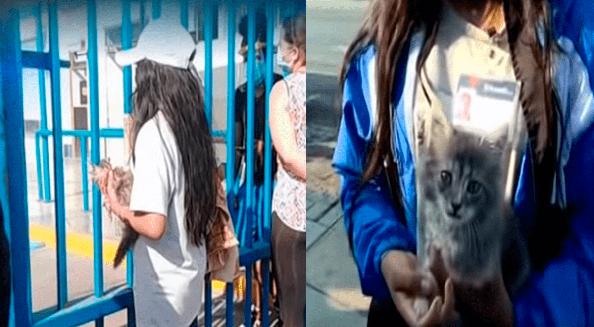 Hospital Sabogal: niña duerme en la calle junto a su gatito a la espera de su padre en UCI Hospital Sabogal: niña duerme en la calle junto a su gatito a la espera de su padre en UCI