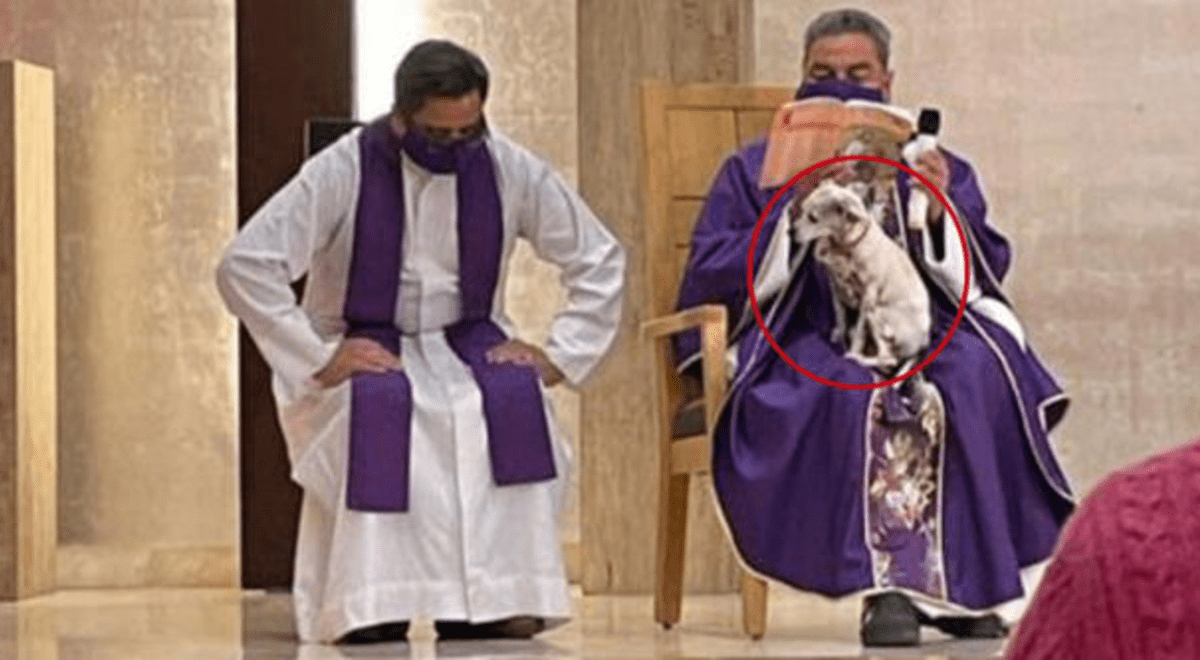 Sacerdote ofreció misa junto a su perrita porque estaba enferma y no la podía dejar sola en Brasil Sacerdote ofreció misa junto a su perrita porque estaba enferma y no la podía dejar sola en Brasil