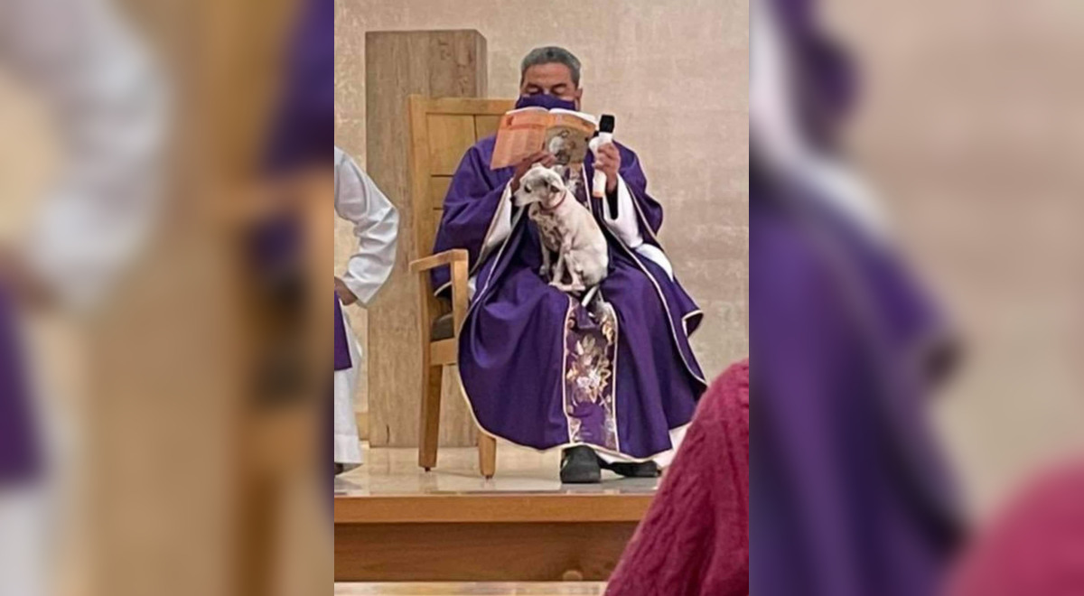 México: Un sacerdote oficia una misa en con su perrita entre sus piernas México: Un sacerdote oficia una misa en con su perrita entre sus piernas