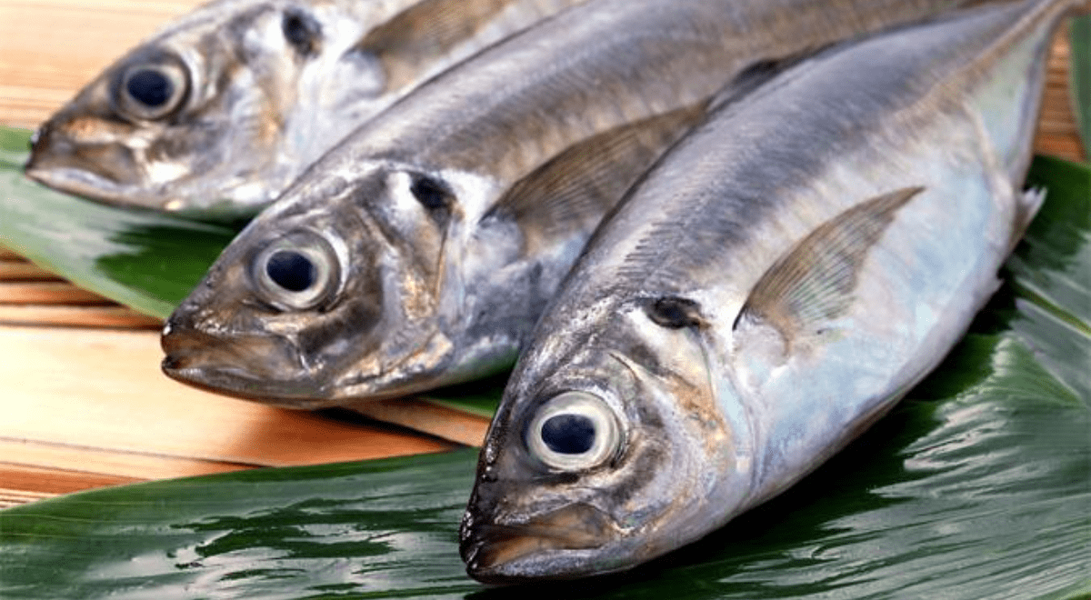 ¿Cómo saber si un pescado está en mal estado? 5 trucos para comprar pescado fresco ¿Cómo saber si un pescado está en mal estado? 5 trucos para comprar pescado fresco