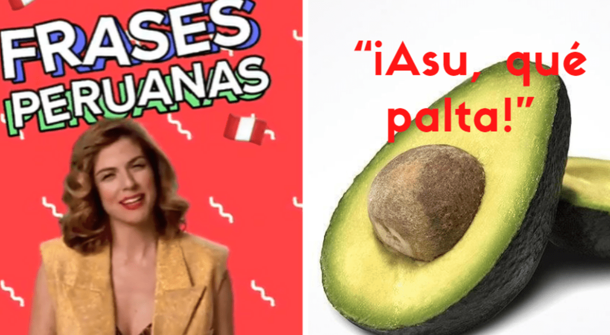 what-meanings-does-the-peruvian-slang-avocado-have-after-stephanie