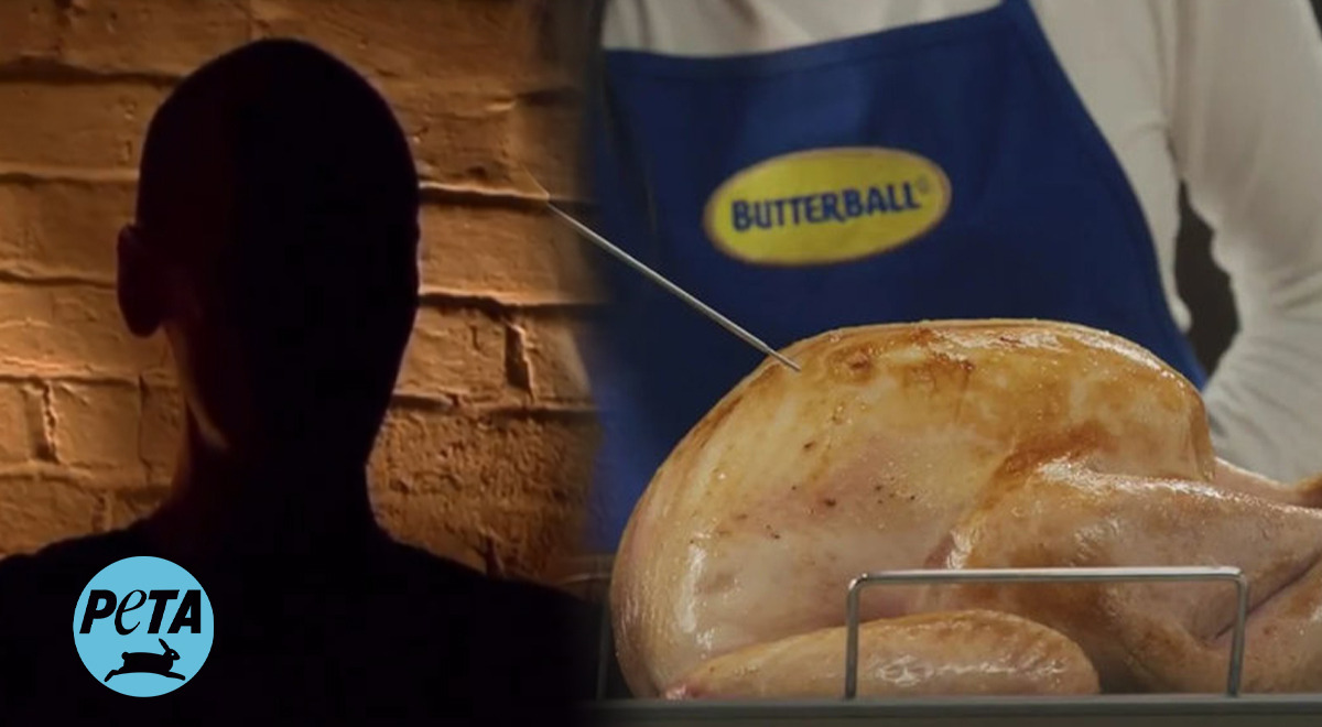 PETA denunció que en Butterball los trabajadores abusan sexualmente de los pavos