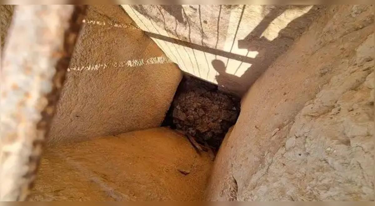 Mundo oculto sob Gizé: arqueólogos descobrem estruturas que podem mudar o que sabemos sobre os faraós Mundo oculto sob Gizé: arqueólogos descobrem estruturas que podem mudar o que sabemos sobre os faraós