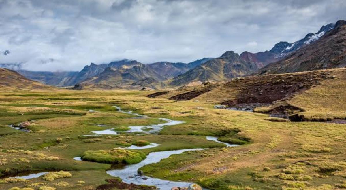 페루는 물 안보를 강화하기 위해 100만 헥타르 이상의 습지를 보호하려고 합니다. 페루는 물 안보를 강화하기 위해 100만 헥타르 이상의 습지를 보호하려고 합니다.