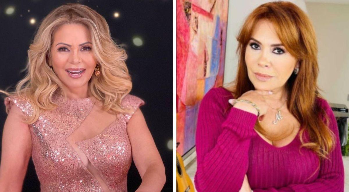 Magali tem sido calada sobre o retorno de Gisela à TV, mas DART começa quando ela esclarece se ela é sua candidata: “Acho que não…” Magali tem sido calada sobre o retorno de Gisela à TV, mas DART começa quando ela esclarece se ela é sua candidata: “Acho que não…”