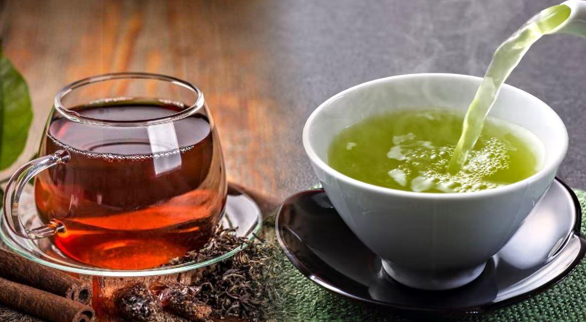 Chá Verde x Chá Preto: Benefícios e Diferenças Especialistas Dizem Qual é o Melhor para Você? Chá Verde x Chá Preto: Benefícios e Diferenças Especialistas Dizem Qual é o Melhor para Você?