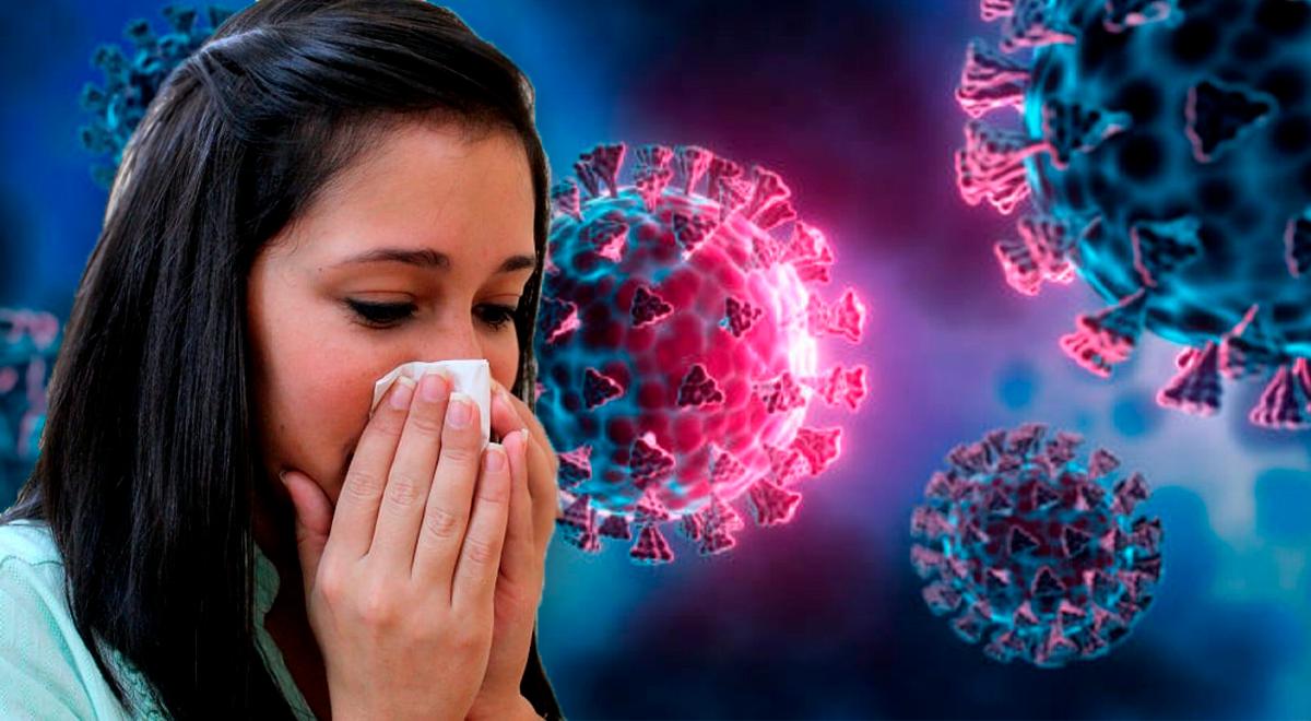 Gripe H3N2: Estas são as medidas que você deve seguir caso apresente sintomas do vírus Gripe H3N2: Estas são as medidas que você deve seguir caso apresente sintomas do vírus