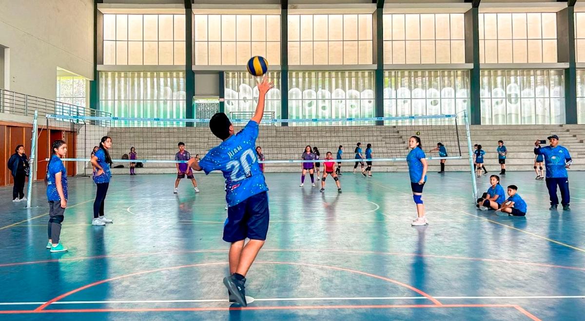 Los Olivos: Estão lançando cursos e workshops de verão com disponibilidade limitada e preços acessíveis.