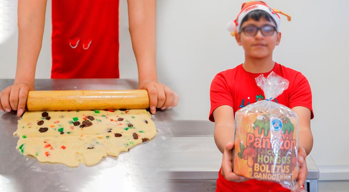 Um estudante peruano de 14 anos prepara um saudável panetone de Natal com farinha de trigo, canihua e cogumelos medicinais.