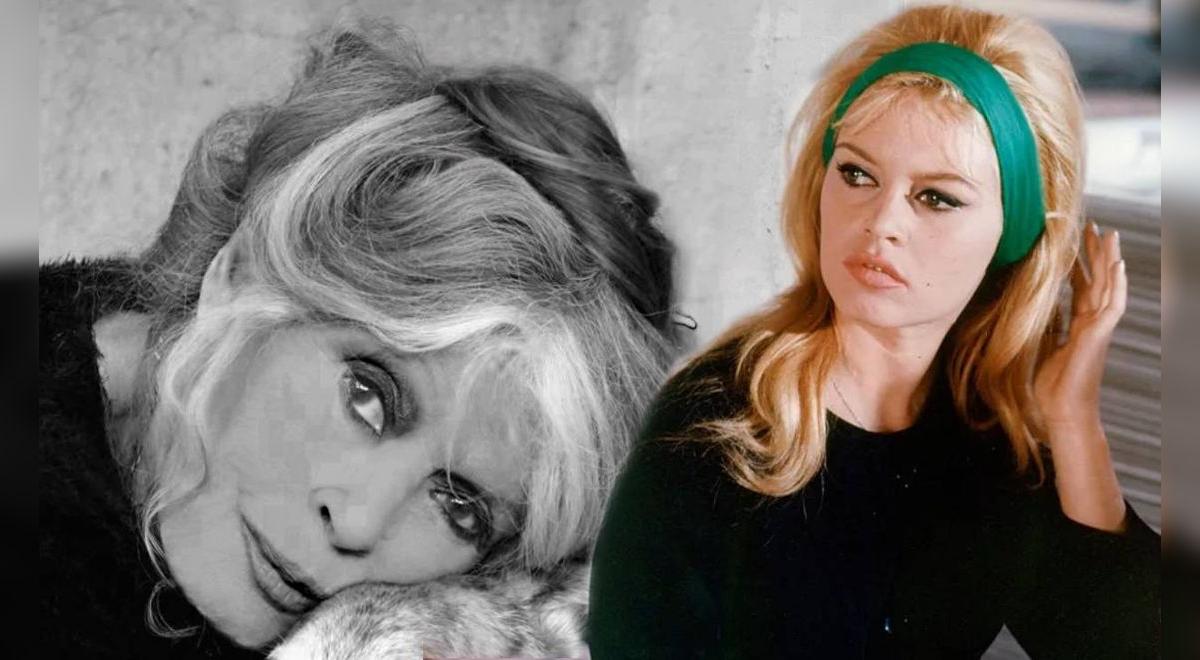 Brigitte Bardot, a famosa atriz que deixou o cinema para lutar pelos direitos dos animais, morreu