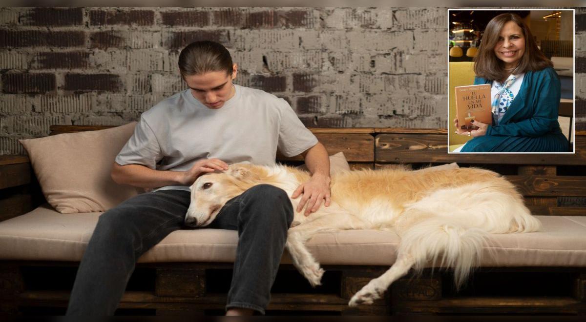 Animais de estimação: Como podemos viver sem nosso animal de estimação?