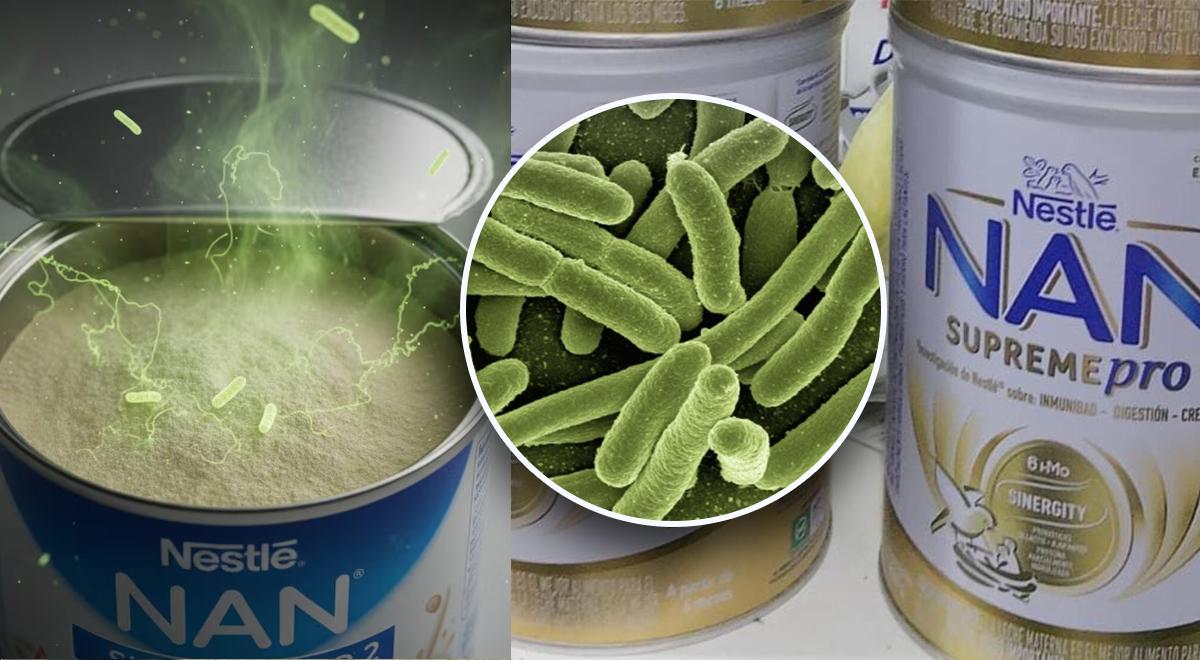 Nestlé Peru confirma presença de contaminação no leite em pó NAN porque é muito perigoso Nestlé Peru confirma presença de contaminação no leite em pó NAN porque é muito perigoso