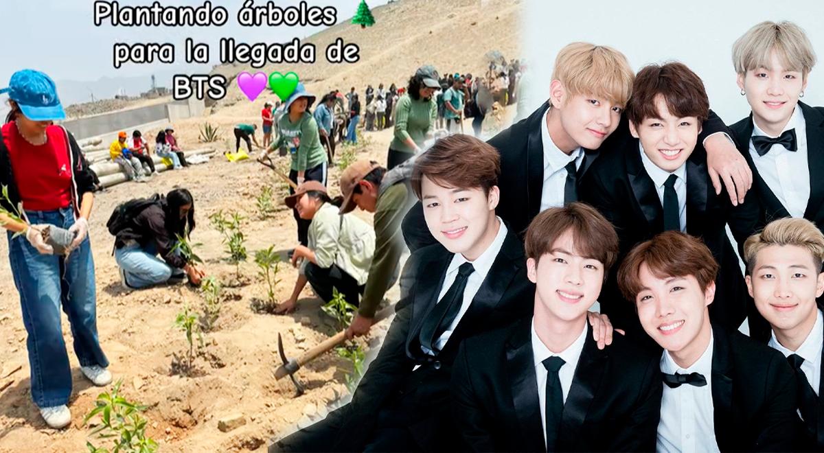 Fãs do BTS plantam árvores para chegada em LIMA: Qual é a origem desta iniciativa pré-concerto