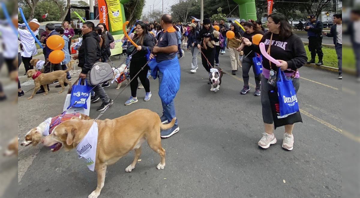 La marche solidaire Huellas 4K tente d’effectuer 1000 stérilisations pour chiens et chats abandonnés