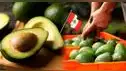 Mexicanos culpan a palta peruana por caída del aguacate en EE.UU.: "Tenemos que rematar productos"