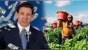 LA MEJOR NOTICIA | En este condado de Florida AUMENTARÁ el salario para estos trabajadores