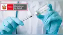 Vacuna contra la gripe H3N2: ¿Cuál es la que funciona y dónde la aplican en Perú?