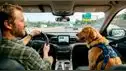 Alerta conductores | Pasear en carro con tu perro en Florida podría derivar en una multa: Estas son las complicadas situaciones