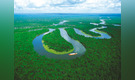 El río más caudaloso del mundo: el Amazonas