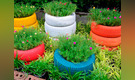 Medio Ambiente: recicla neumáticos y crea un colorido jardín