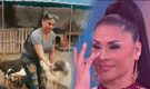 Yolanda Medina se QUIEBRA al presentar en TV su ALBERGUE de perros y hace especial pedido