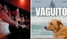 Niño se hace viral al ROMPER EN LLANTO en sala de cine tras ver "Vaguito": "Ya me vi llorando"